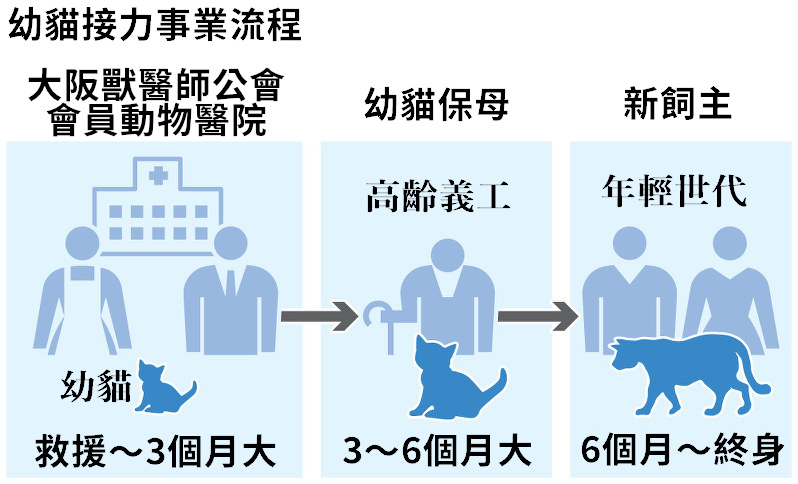 「幼貓接力事業」是日本第1個由獸醫師公會主導的貓咪中途活動案例。 翻攝自《每日新聞》