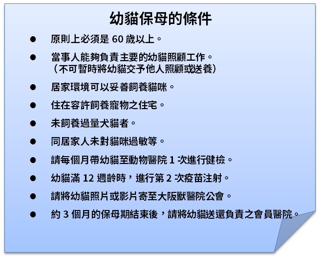 資料來源：幼貓接力事業