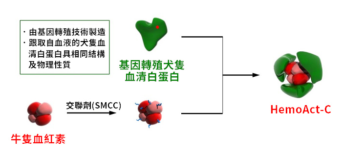 犬用人造血原料只有牛隻血紅素、基因轉殖犬隻血清白蛋白、市售交聯劑。製程僅兩道步驟，且無需任何特殊設備。 取自中央大學