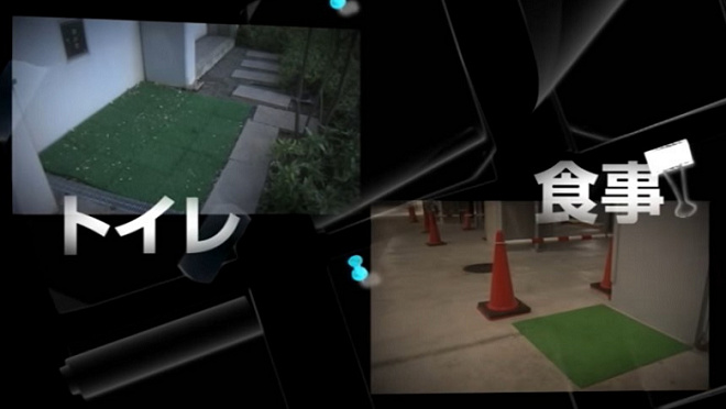 易許在公司後門走道的草地如廁，用餐則在停車場，避免辦公室飄散食物氣味。 翻攝自YouTube