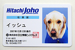 易許的員工證，證明牠是一起工作的夥伴。 取自《ITmedia》