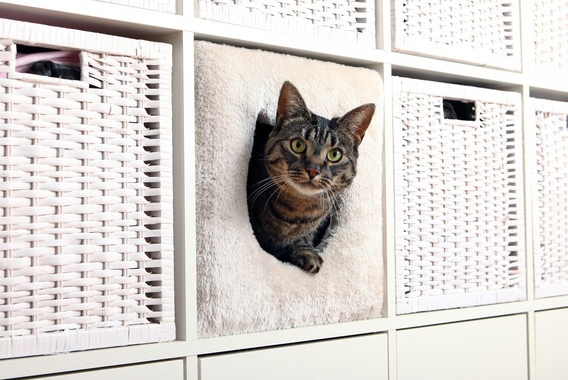 IKEA Kallax層架組宛如專為貓咪設計的避風港,網路上還能找到可愛的貓窩套件。 取自Supercat Sweden