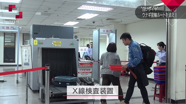 搭船旅客的手提行李要通過X光檢查，《NHK》記者觀察約1小時，沒有任何旅客的行李被打開檢查。 翻攝自《NHK》