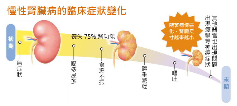 資料來源：日本優卡