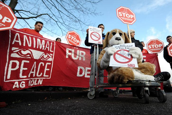 善待動物組織（PETA）抗議扎亞茨動物園販賣幼犬。 取自《Spiegel Online》