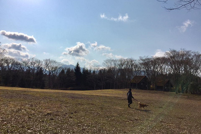 阿蘇九重國立公園內的「熊本地震寵物救援中心」，環境清幽，占地廣大。 取自熊本地震寵物救援中心臉書