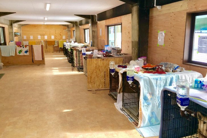 救援中心的犬舍，地板有利用天然溫泉的水地暖。 取自INU MAGAZINE