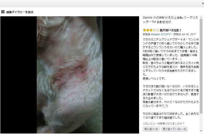 飼主按說明書使用Garmin BarkLimiter電擊項圈5天後，發現家中9歲迷你雪納瑞的皮膚嚴重灼傷。飼主使用的強度等級為最低的1級。 翻攝自日本亞馬遜