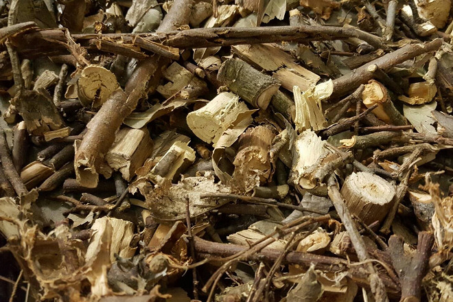 小貓熊室內展示館的新地板。 取自大牟田市立動物園部落格