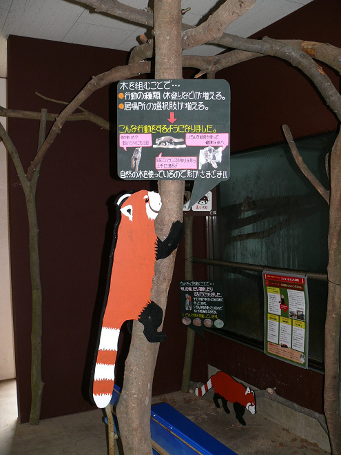 小貓熊室內展示館外的立體結構物與解說板，向遊客說明「組合式叢林健身房」和「木屑地板」的功能。 取自大牟田市立動物園臉書