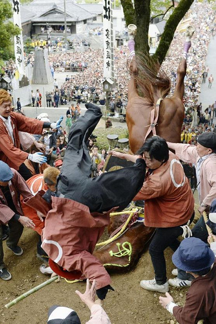 2017年5月4日，在多度大社上馬神事中勉強躍上土牆後翻倒的馬兒，以及被甩出的騎手。 取自《產經新聞》