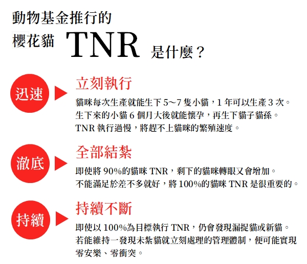 動物基金推行的TNR關鍵在於「迅速」、「澈底」和「持續」，3缺1都無法成功；反過來說，如果遵守這3點，成功率將大幅提升。 資料來源/動物基金 製圖/小陸