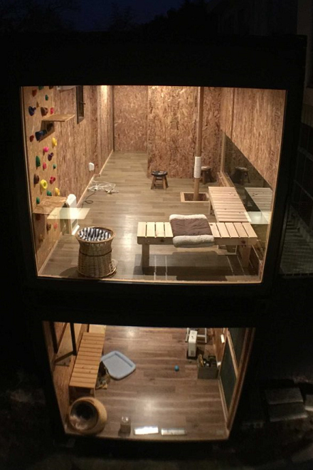 由1層擴建為2層樓建築後,「貓庭」的收容上限也從20隻增為40隻。 取自手島旅館