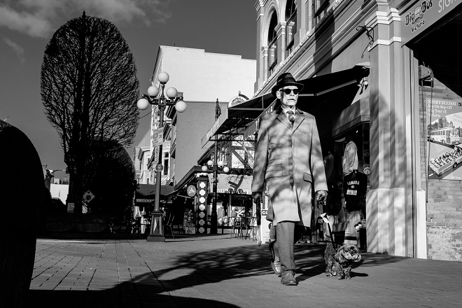 研究顯示每天需要長時間散步的狗兒，可能讓飼主變得更健康；但即使遛狗為飼主健康帶來莫大益處，不少飼主仍對遛狗興趣缺缺。 取自Joris Louwes @Flickr