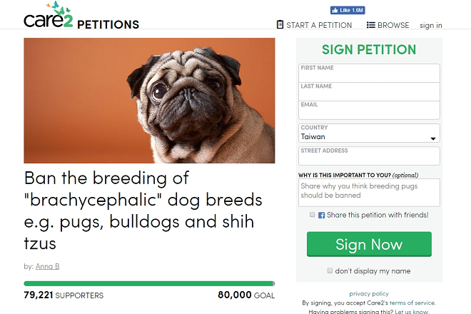 英國去年發起禁止繁殖短吻犬的網路連署，他們認為禁止狗兒出生是唯一的解決方法；禁止後相關犬種可在15年內絕跡，讓短吻犬的痛苦成為歷史。 翻攝自Care2 Petitions