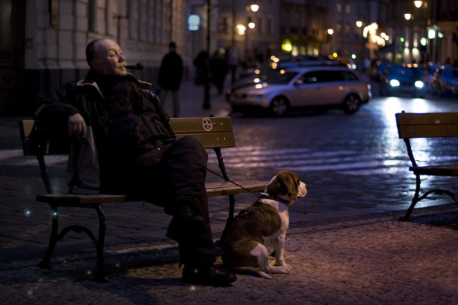 狗兒遭遇道路交通事故的死亡率高,飼主應上牽保護愛犬安全。 取自Jacopo Romei @Filkr
