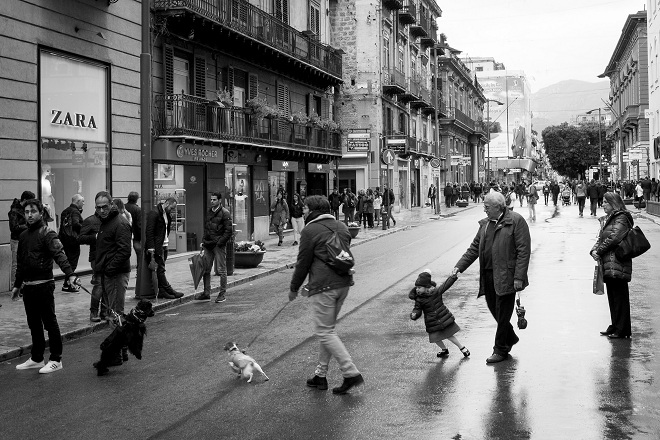動物會做出我們無法預測的行為,飼主有上牽之義務,且需牢牢握住。 取自Pietro Tranchida @Flickr
