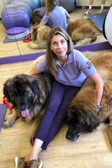 托拉卡博士曾見過1隻3歲半的蘭伯格犬（Leonberger），臀部Ｘ光顯示其骨盆區的生長板仍是開放的。超大型犬的平均壽命通常較短，但驚人的是那隻3歲半的蘭伯格犬還在長大。 取自Wizard of Paws臉書