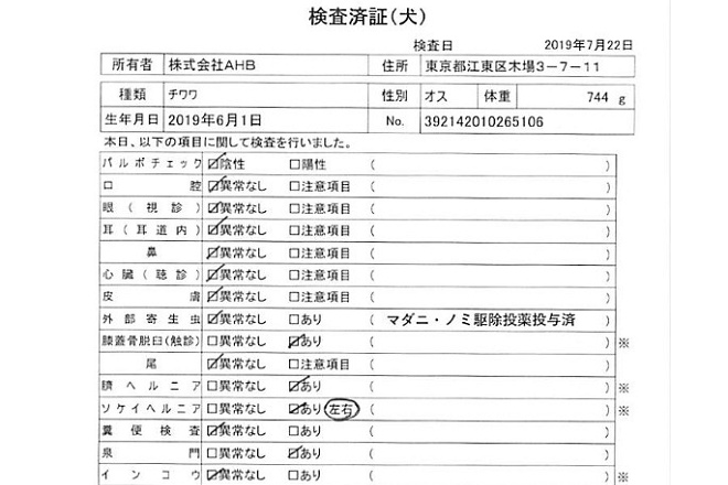 除了基因檢測，AHB亦公開每隻幼犬幼貓的基本檢健結果。例如這隻33萬日幣（約9萬5台幣）的吉娃娃公犬就檢查出有膝關節異位、臍疝氣、鼠蹊疝氣（左右兩側）和頭骨閉合不全。 翻攝自AHB