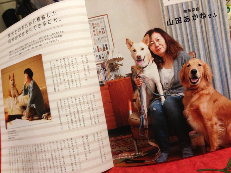 小夏是在廣島收容所領養的黃金獵犬，飾演過世的Mini。曾被棄養的小春是山田茜第一天造訪收容所就決定收養的米克斯。擷取映画「犬に名前をつける日」