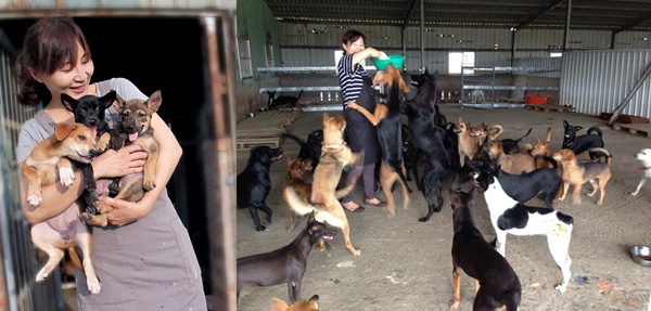 陳愛媽一年送養近80隻浪浪，並都親自全省家訪追蹤，確保每隻浪浪都可以過得幸福。 黃怡蓓/提供