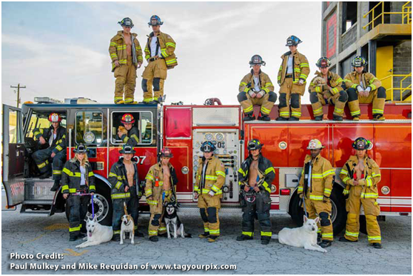 2014年開始發行的消防員月曆，已展開2017年月曆的預售。取自charlestonfirefightercalendar.com