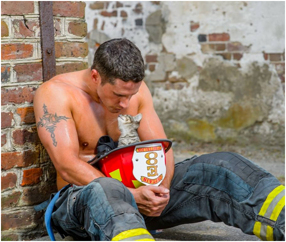 大漢和小貓的組合，不僅不突兀，似乎更引人!  取自charlestonfirefightercalendar.com