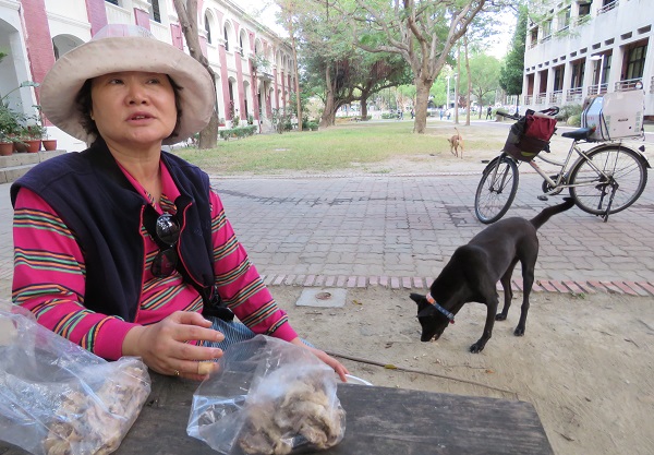 長期在成大校園以熟食餵養校園犬的愛媽黃麗珠。蕭士塔/攝