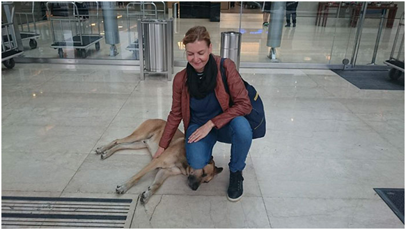 在布宜諾斯艾利斯偶遇盧比奧之後，德國籍的空服員熙弗絲就再也甩不掉牠。 取自boredpanda.com