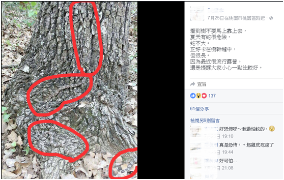 這不是龜殼花！經過臉友分享指證後，原PO已將龜殼花字眼拿掉；照片上面紅圈裡的蛇其實是美國很常見的蝮蛇屬(Agkistrodon)裡的銅頭蝮系列的幼蛇！