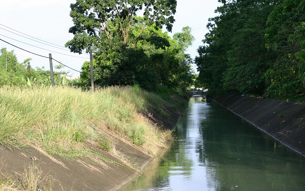 傳統的梯型溝，跌落的動物可以由斜坡脫困。蕭士塔/攝
