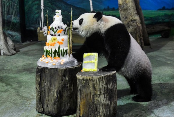 圓仔吃的這個水果冰，材料包括葡萄、紅蘿蔔、蘋果、鳳梨、孟宗竹葉、桂竹筍，是不是讓你看得也想吃一口!  台北市立動物園/提供