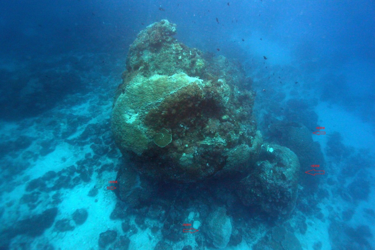 大香菇蓋頂的部分，原本應該呈半圓形，上面覆蓋著微孔珊瑚，現在卻看到大量的異種珊瑚入侵。   取自俞明宏臉書