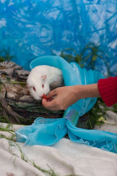 想要完成拍攝,適時的用食物討好一下模特兒是必需的。 取自Rachele Totaro臉書