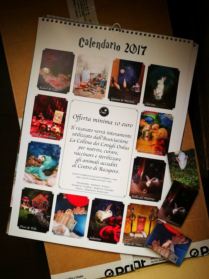 以實驗動物為主角製成的2017年行事曆,一切的努力都是希望實驗動物們擺脫地獄,找到一個溫暖的新家,從此以後過著幸福快樂的生活。 取自Rachele Totaro臉書