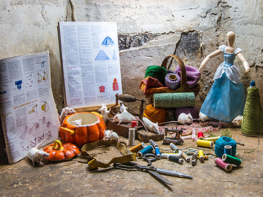 作品為《灰姑娘》,老鼠們貌似努力的為灰姑娘織一件晚禮服,其實是在尋找攝影師特地滴在道具中的優格,可愛的畫面令人莞爾。 取自boredpanda