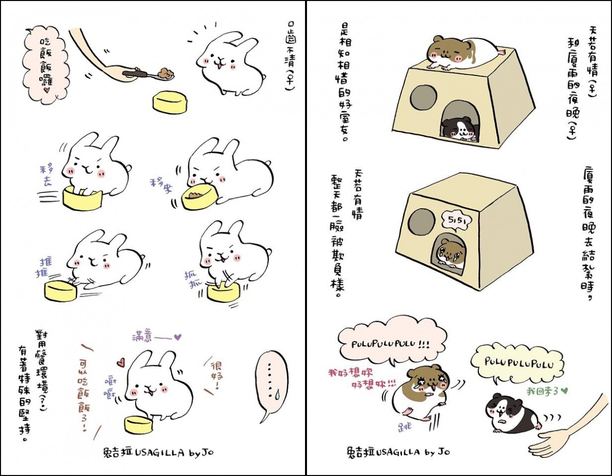 Jo為愛兔協會的兔子和天竺鼠畫的插畫。 取自兔吉拉粉絲專頁