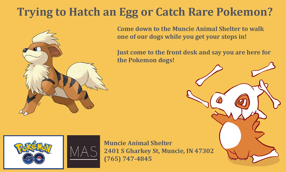 Phill請朋友為他設計廣告，邀請玩家前來MAS體驗寶可夢遛狗。 取自upworthy網站