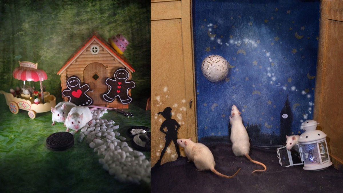 作品為《糖果屋》(左)、《彼得潘》(右)。Rachele Totaro受訪時表示,老鼠是她最棒的工作拍檔,因為牠們會和背景道具產生很多互動。 取自boredpanda