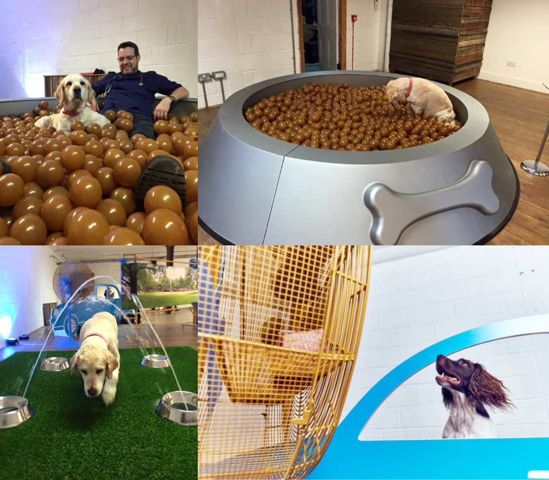 為展覽提供諮詢的獸醫Robert White-Adams也帶著愛犬逛展。左上和右上為飼料盆造型球池、左下為噴水器設施、右下為車窗造型。 取自Dr.Bob-The Vet臉書粉絲專頁(左上、右上、左下)、Metro UK(右下)