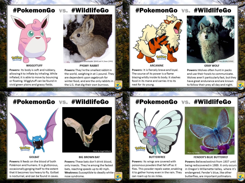USFWS製作的神奇寶貝對照野生動物圖卡。 取自USFWS網站