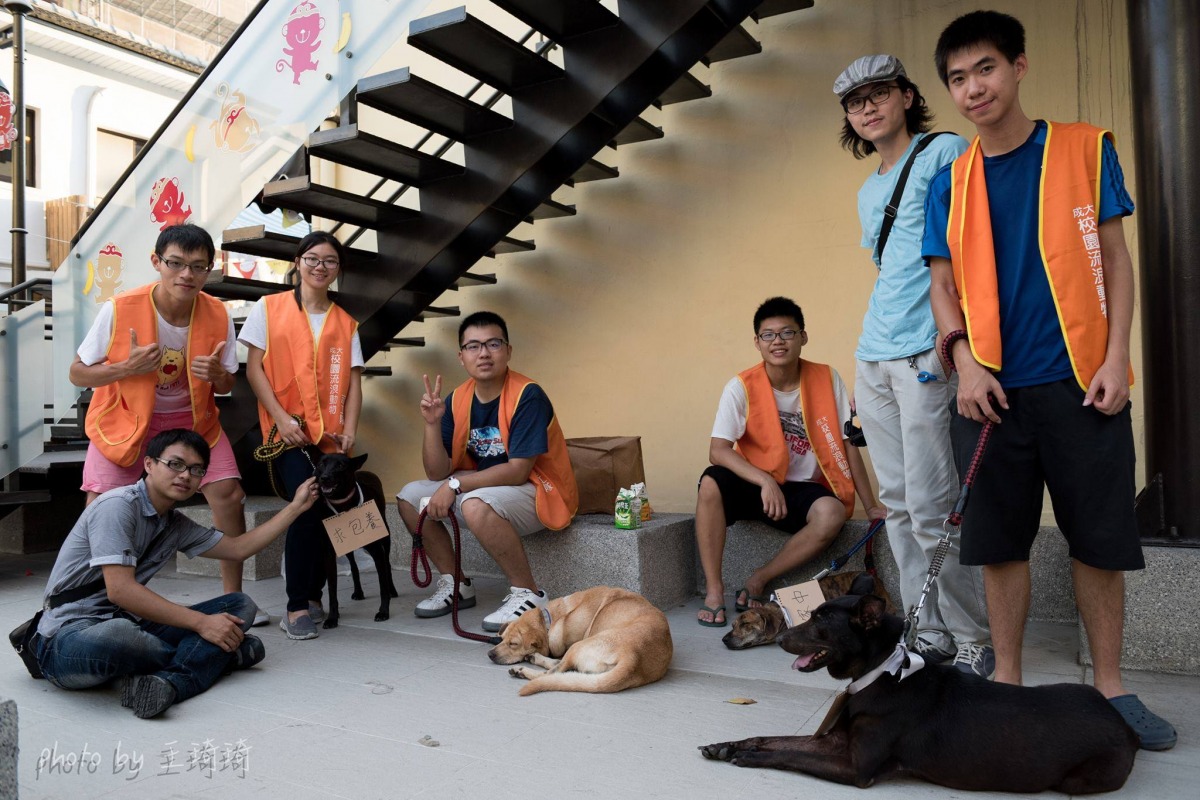 成大流浪動物志工隊參加志工活動時合影。成大流浪動物志工隊提供。