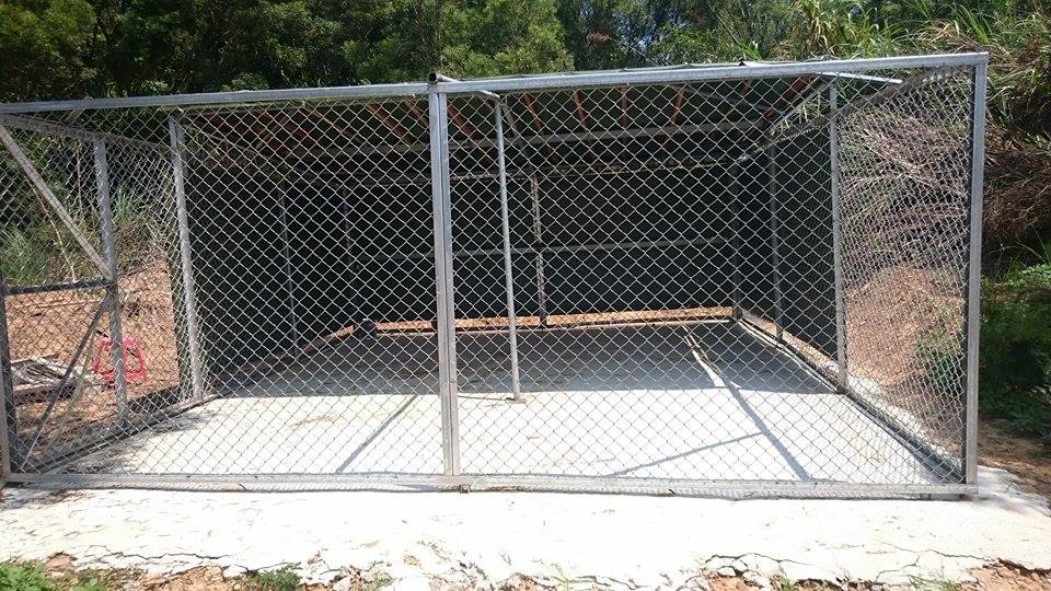 引起校方及社團衝突的狗舍。聯合大學動保社提供。