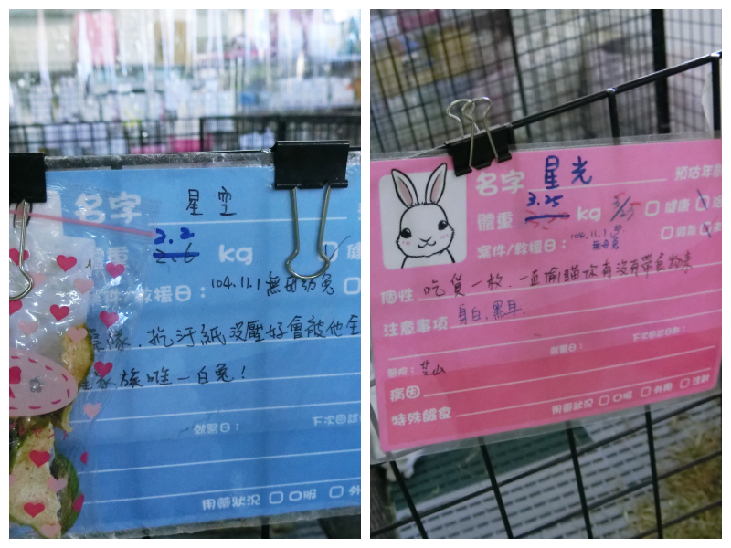 接獲到同批的浪兔,皆會以事件,或是事發當地的名稱來命名。林欣慧/攝