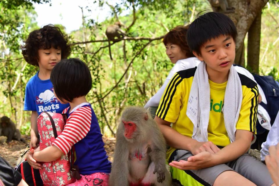 獼猴團老少皆宜，非常受歡迎。圖為獼猴團活動照片。　取自台灣獼猴吱吱黨。