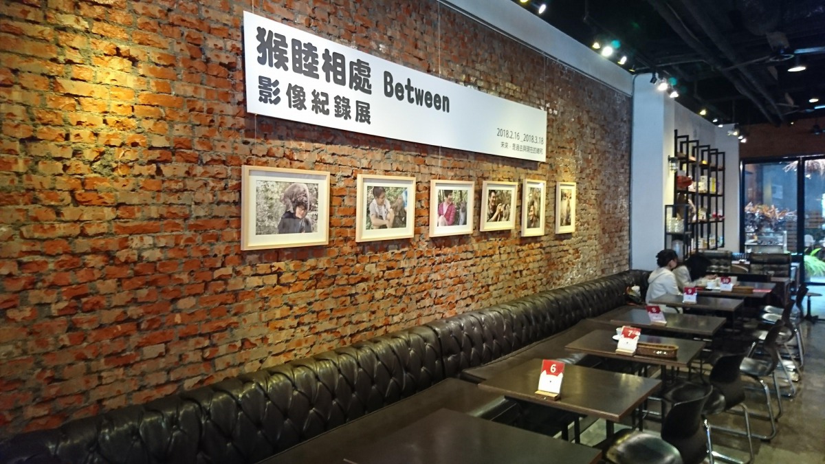 猴睦相處影像紀錄展展出台灣和來自世界各國的團員在獼猴主動接近的前提下留下的珍貴同框照。　林美吟/提供