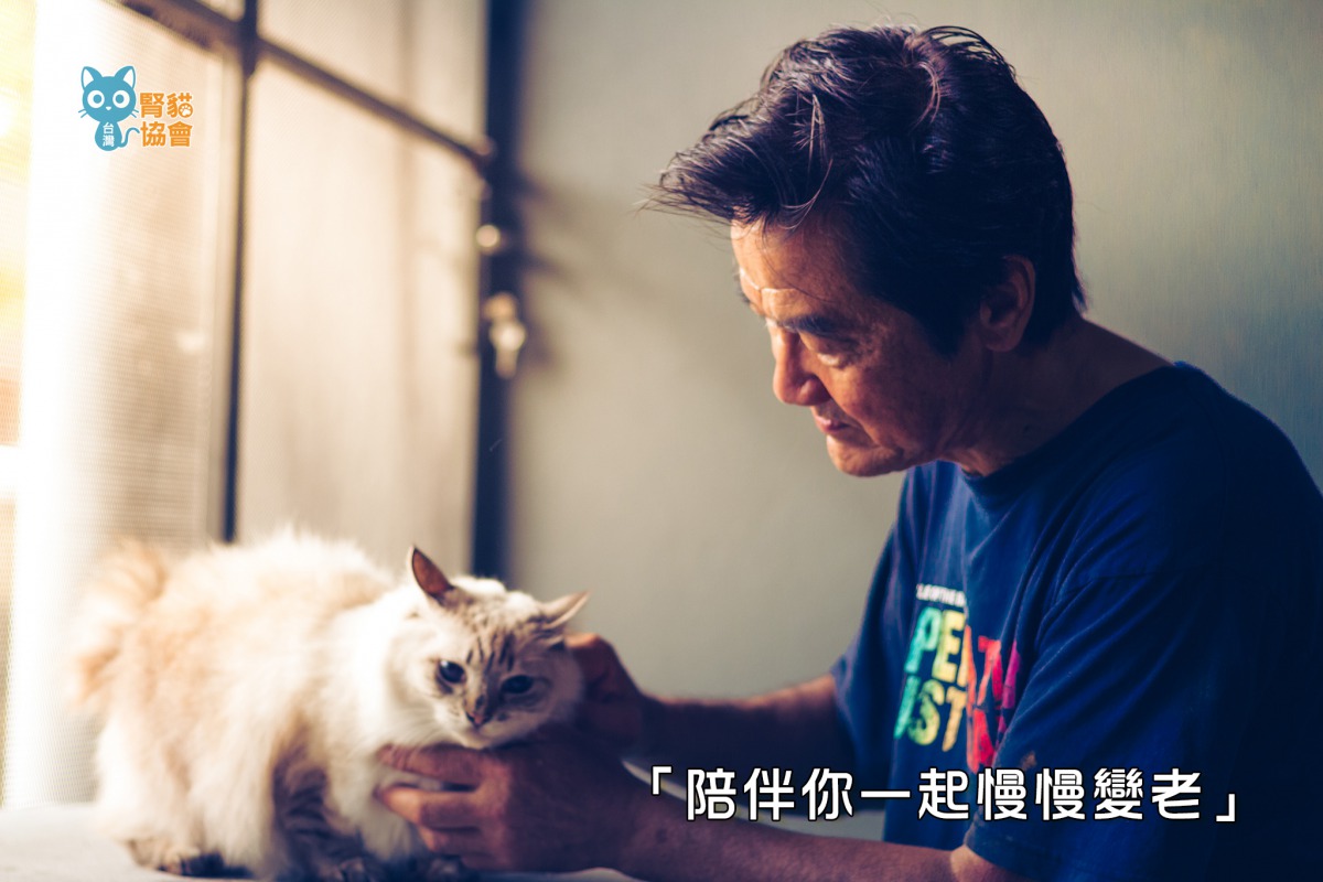 腎貓協會/提供