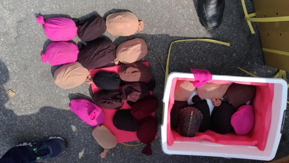 業者將食蛇龜包裝藏匿於鱉卵的下層，共查獲298隻食蛇龜。財政部關務署高雄關/提供