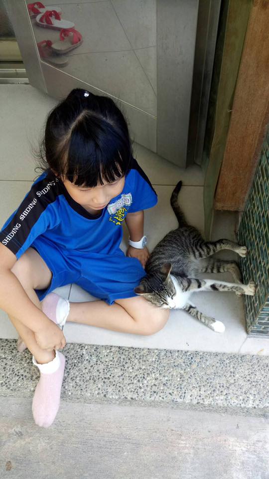 吳憶靜女兒平時跟浪貓感情很好，小黑白個性很乖愛撒嬌，女兒也當寶貝一樣，如今卻不幸被毒死。吳憶靜/提供
