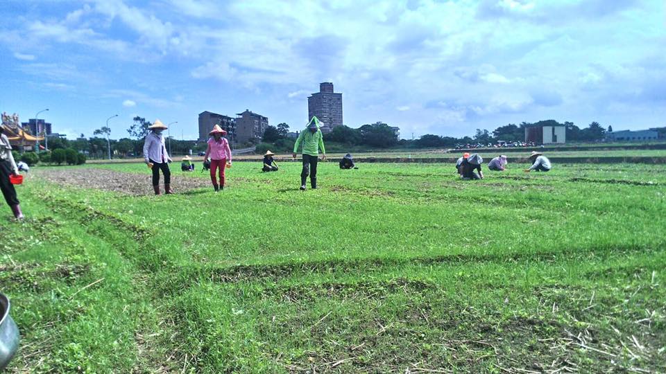 芝芭里將舉行花彩節活動。芝芭里里長/提供